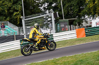 Lower Group Yellow Bikes